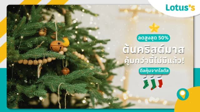 ต้นคริสต์มาส ราคาดี เลือกอย่างไรให้คุ้มค่า