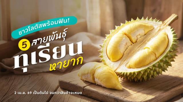 5 สายพันธุ์ ทุเรียนเบญจพรรณหายาก ช้อปได้แล้วที่โลตัส ตั้งแต่วันนี้!